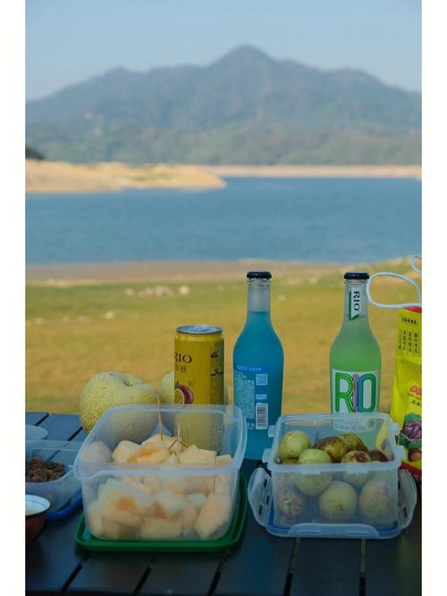 《郊游》幼儿歌优秀教案 《郊游》幼儿歌优秀教案